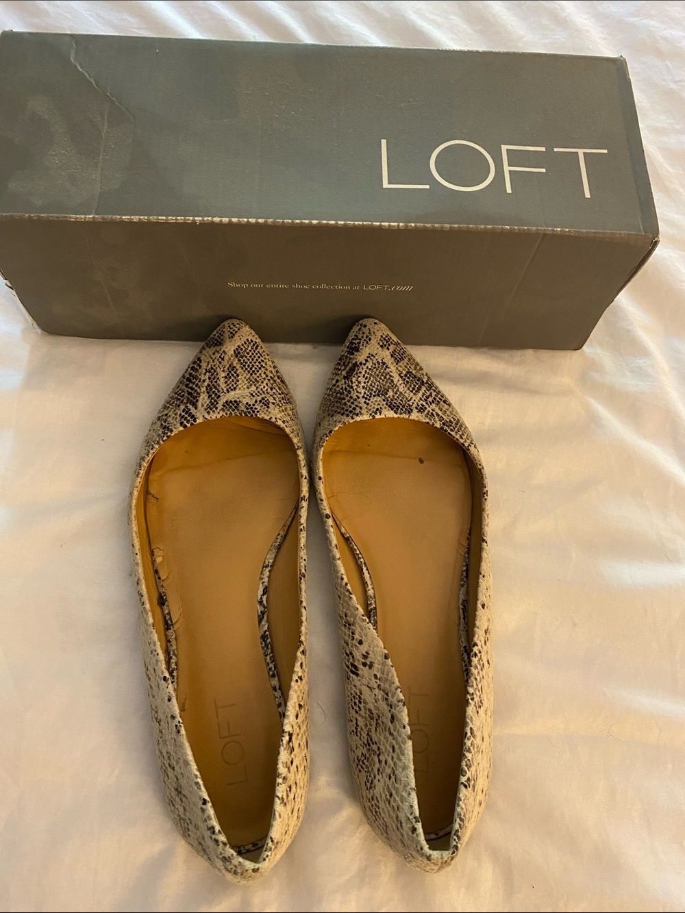 LOFT Snake-Print Pointed Toe Flats in Beige and Black